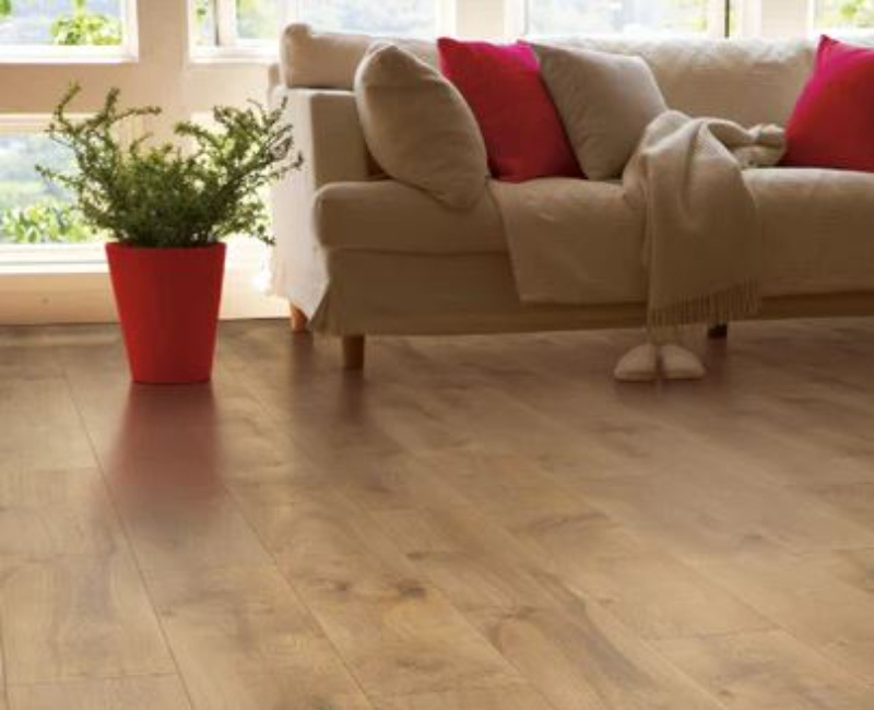Century Oak